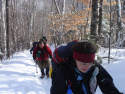 Ethan Pond Trail